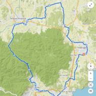 Ruta Carretera 1: 